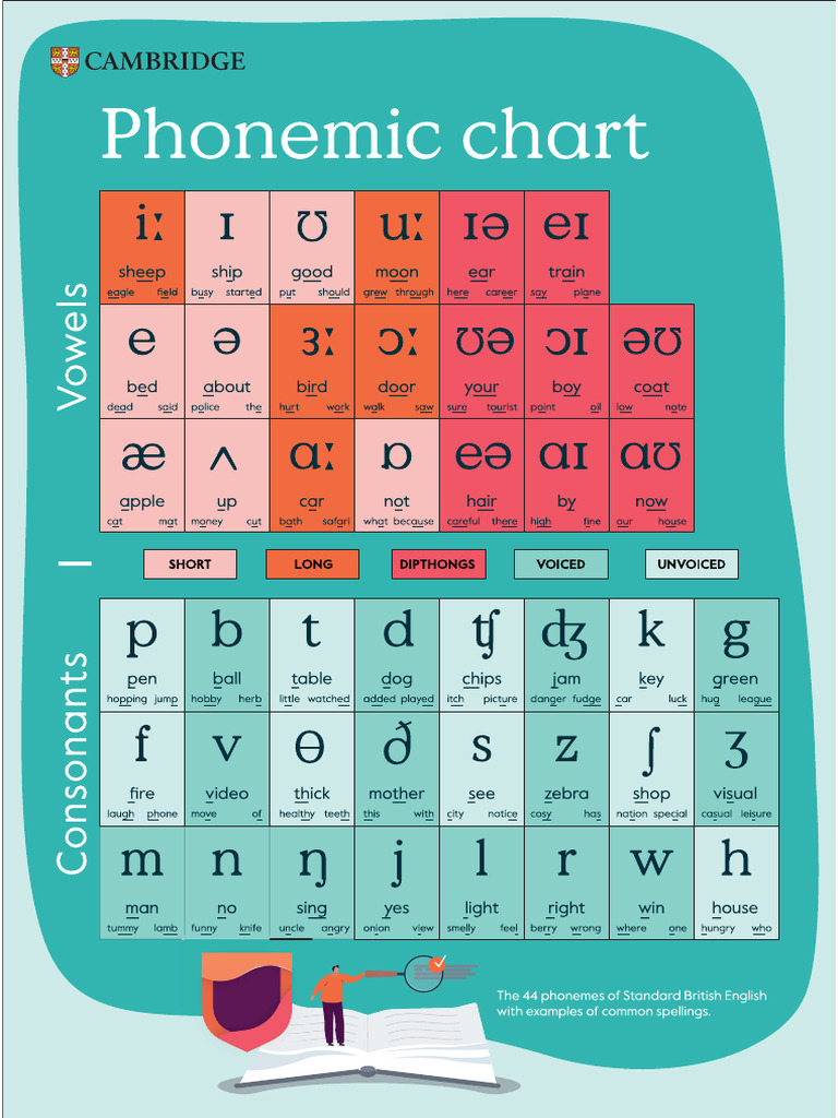 Phonemic Chart A3 | PDF