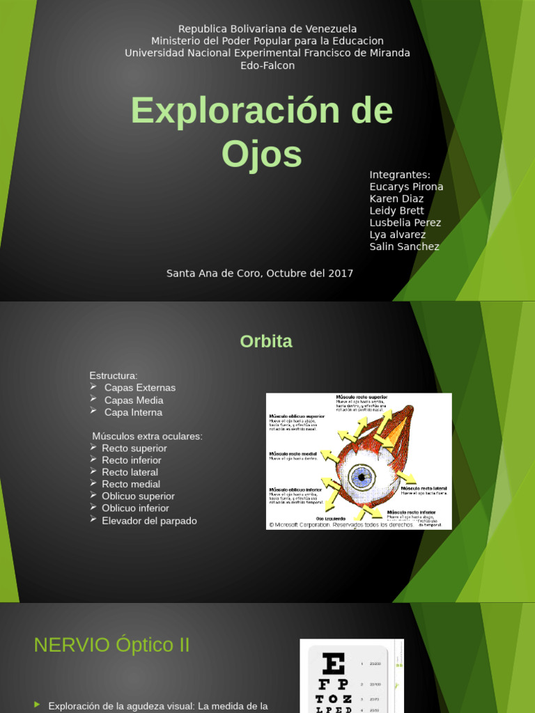 Exploración de Ojos y Agudeza Visual | PDF | Ojo humano | Ojo