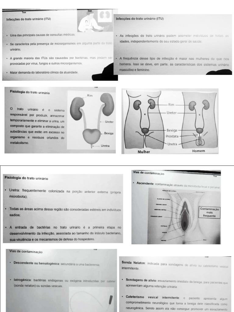 Micro 2 | PDF