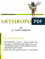 ARTHROPODA DAN PERAN KESEHATAN