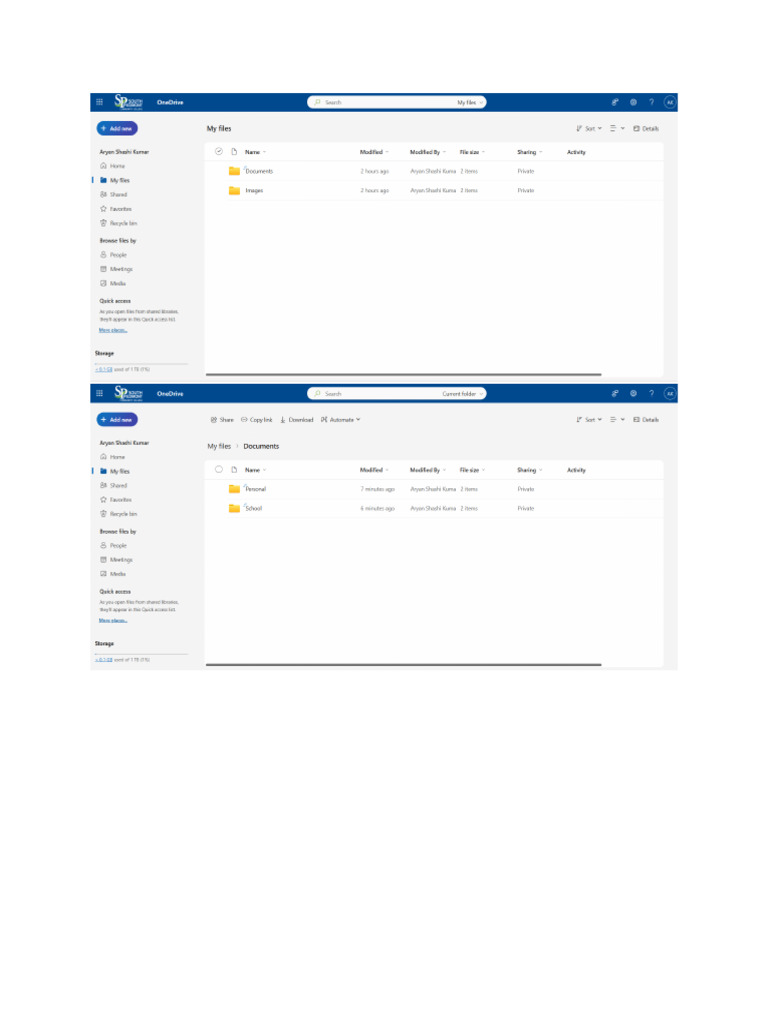 Organizing Digital Files Efficiently | PDF