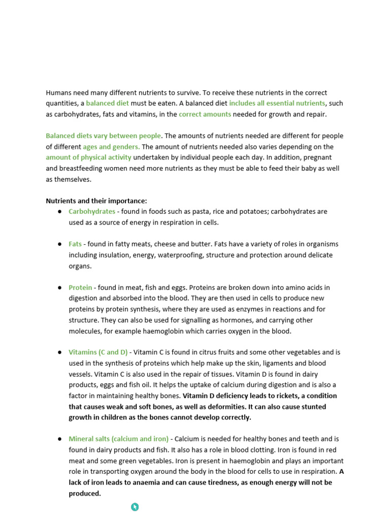 Human Digestion and Nutrient Essentials | PDF | Digestion | Small Intestine