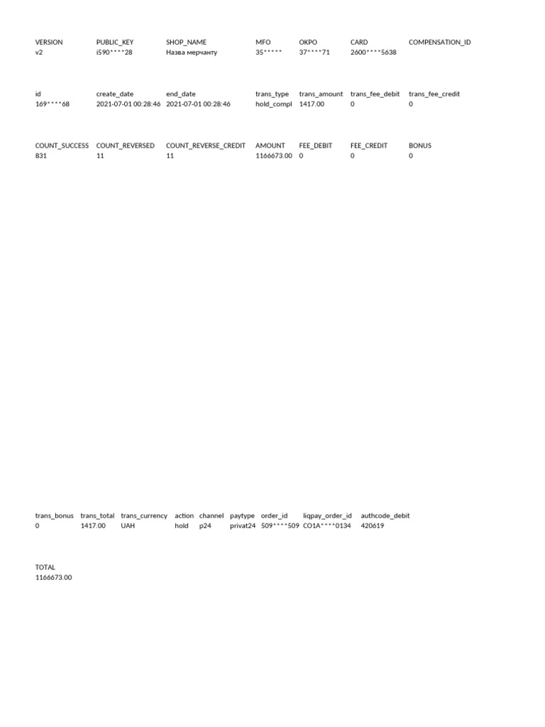 Merchant Transaction Summary Report | PDF