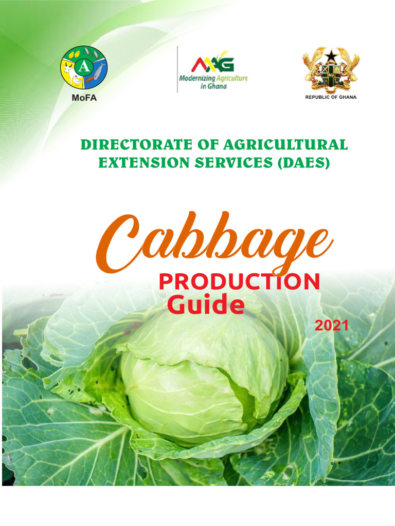 Cabbage Production Guide 2021 | PDF | Cabbage | Sowing