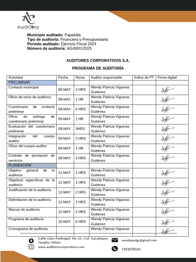 Programa de Auditoría | PDF | Auditoría | Business