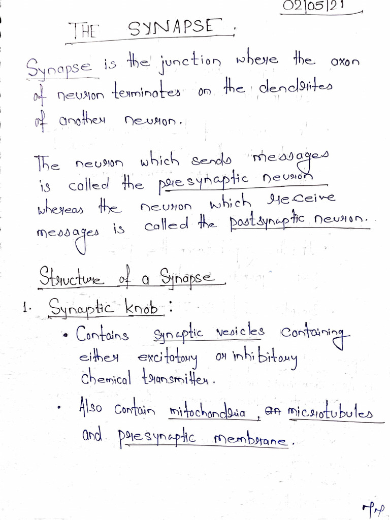 CNS 1 | PDF