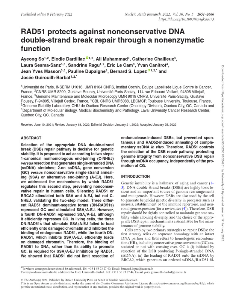 RAD51's Role in DNA Repair Pathways | PDF | Dna Repair | Biology