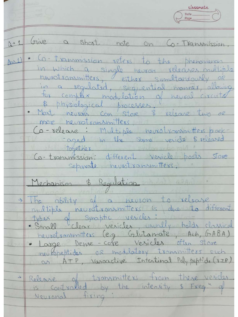MPL 102 T Assignment - 1 Prince Kumar Mewati - Compressed | PDF
