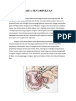 Invaginasi Radiologi