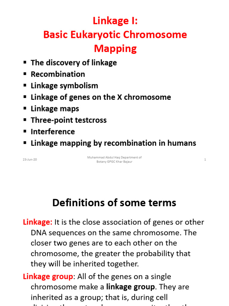 Eukaryotic Chromosome Linkage Mapping | PDF | Genetic Linkage ...