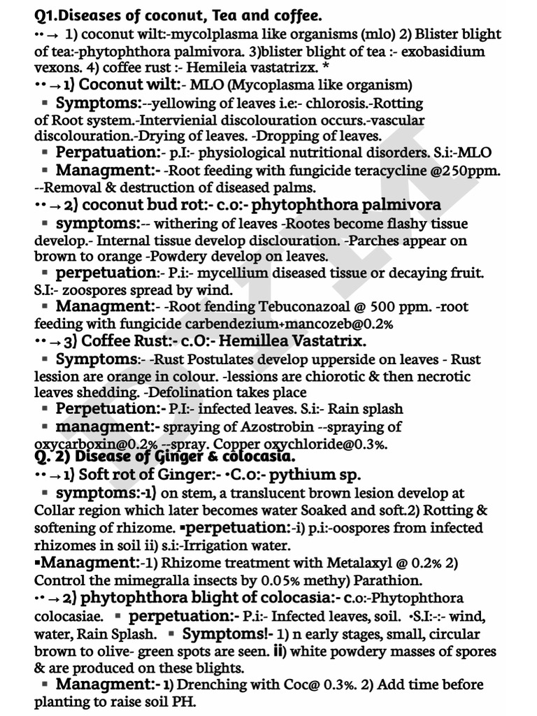 DYM PATH 5th Sem Theory | PDF