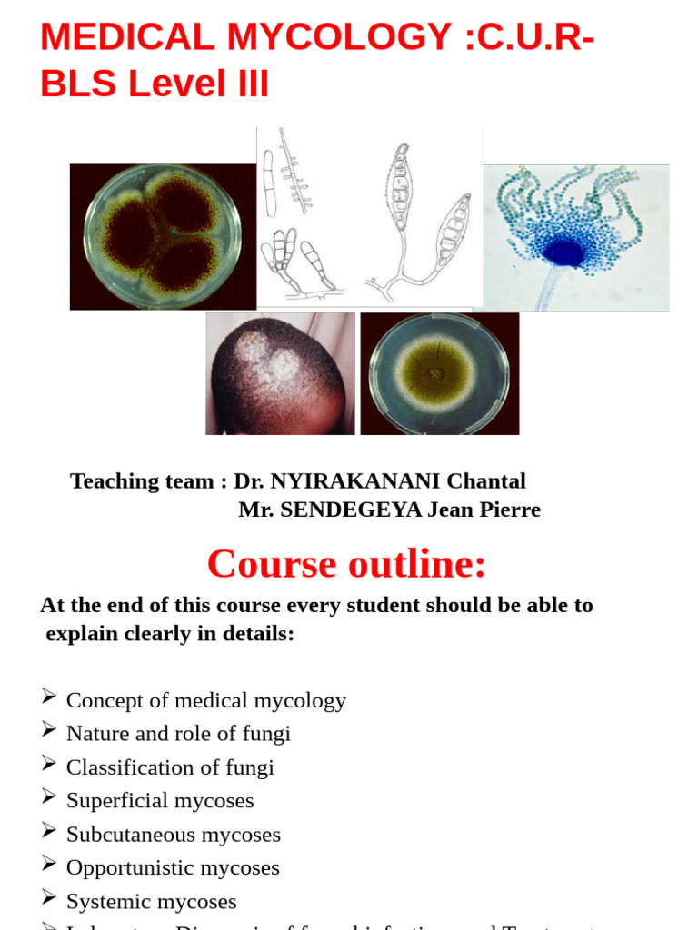 Medical Mycology Course Overview | PDF | Fungus | Candidiasis