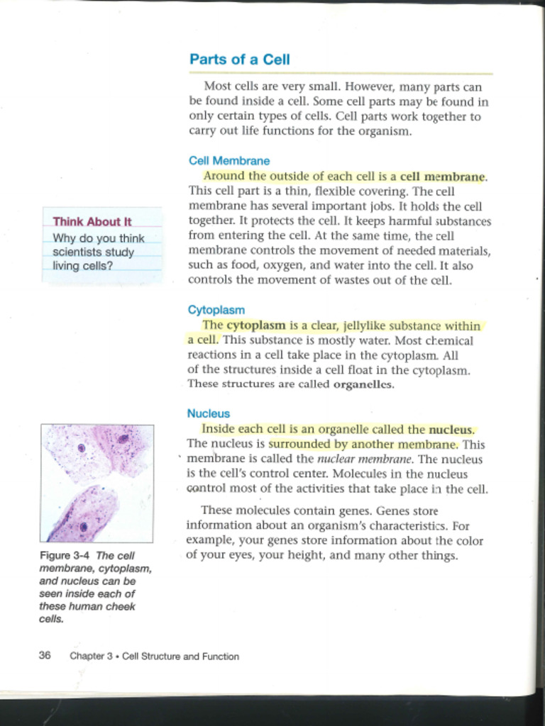 20241230085132813 | PDF