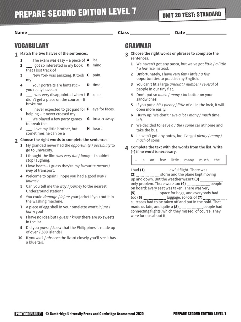 Level 7 Vocabulary and Grammar Exercises | PDF