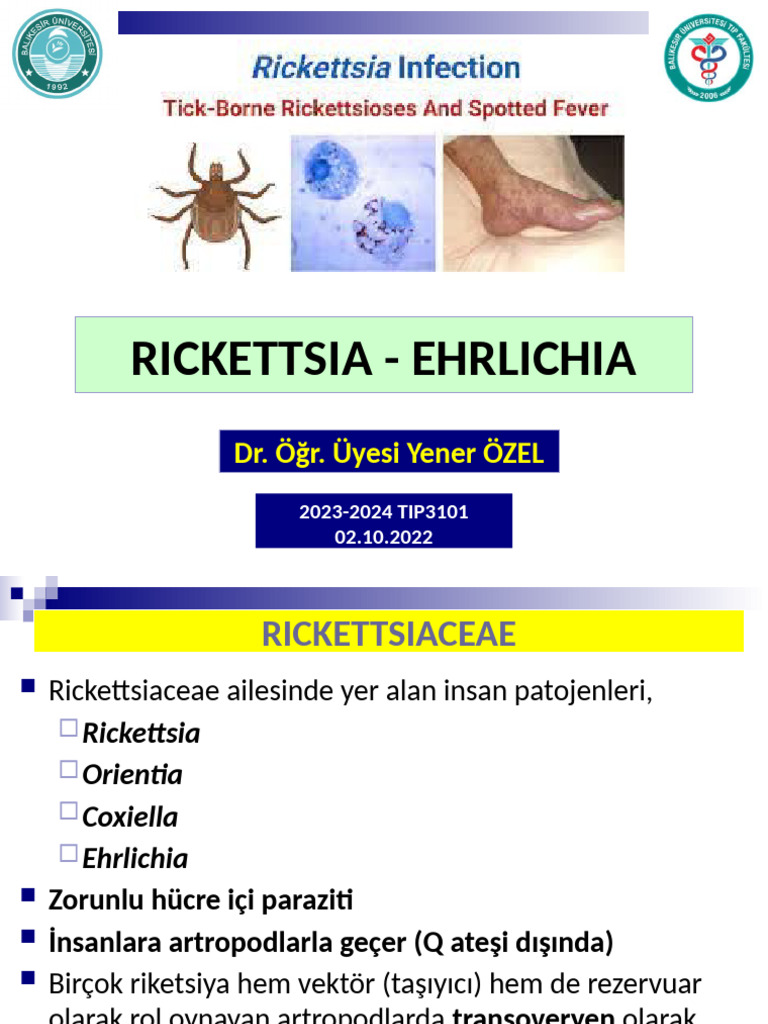 14?????) Rickettsia Ve Ehrlichia-2025-26 | PDF