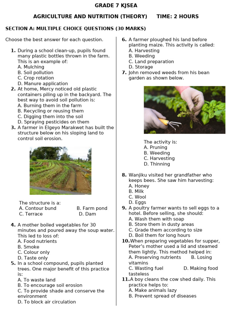 Grade 7 Agriculture and Nutrition Quiz | PDF | Agriculture | Soil