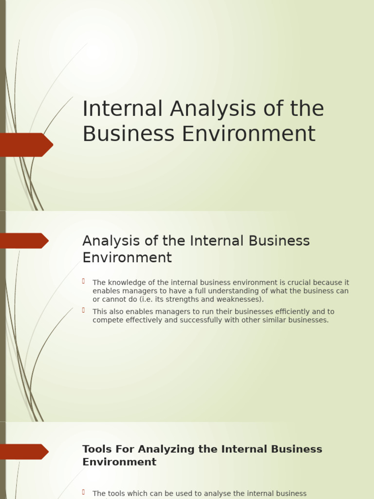 Internal Business Environment Analysis | PDF | Organizational Structure ...