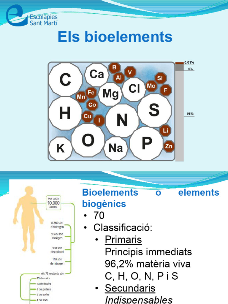 1.3 Bio 1 Batx Bioelements 22-23 | PDF
