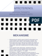 METAPROTERENOL