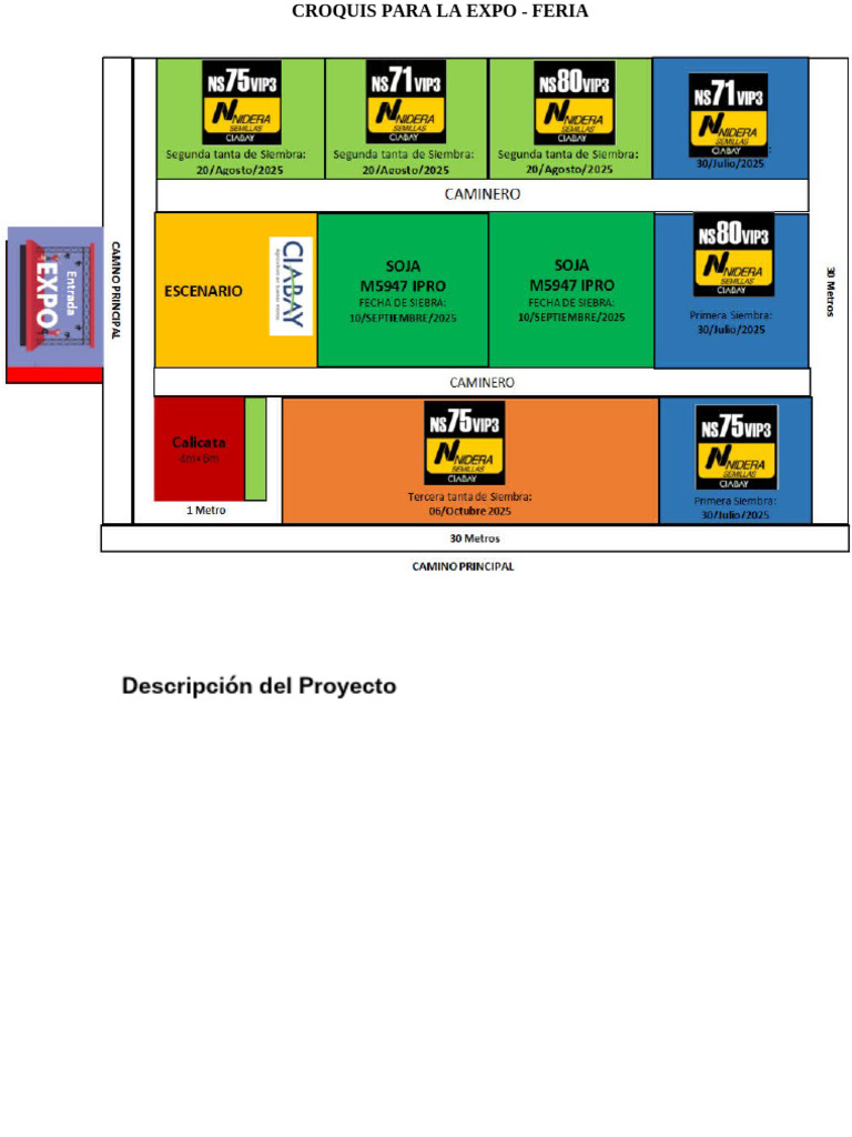 Expo | PDF
