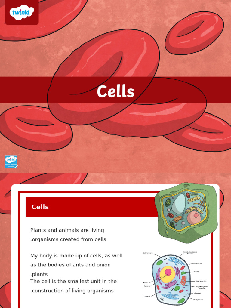 T 1722199471 Cells Powerpoint - Ver - 1 | PDF | Cell (Biology) | Tissue ...