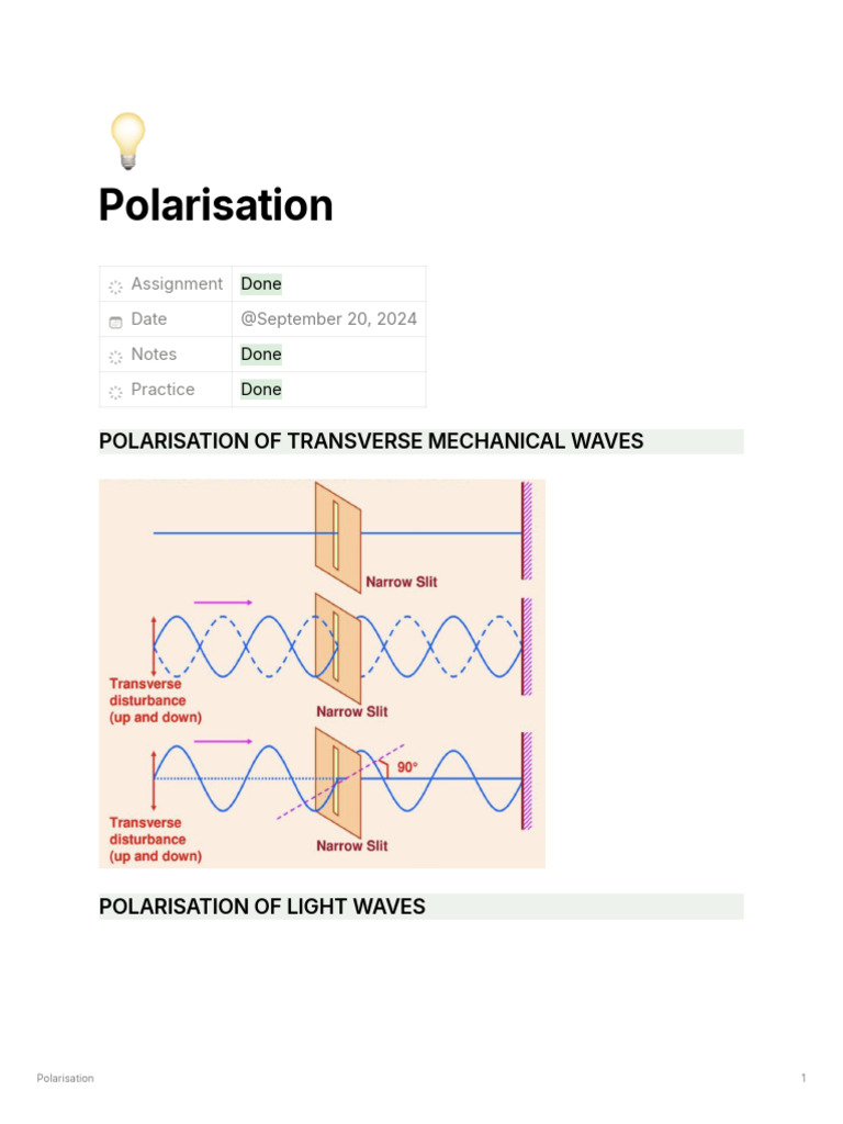 Understanding Light Polarisation Concepts | PDF | Polarization (Waves ...