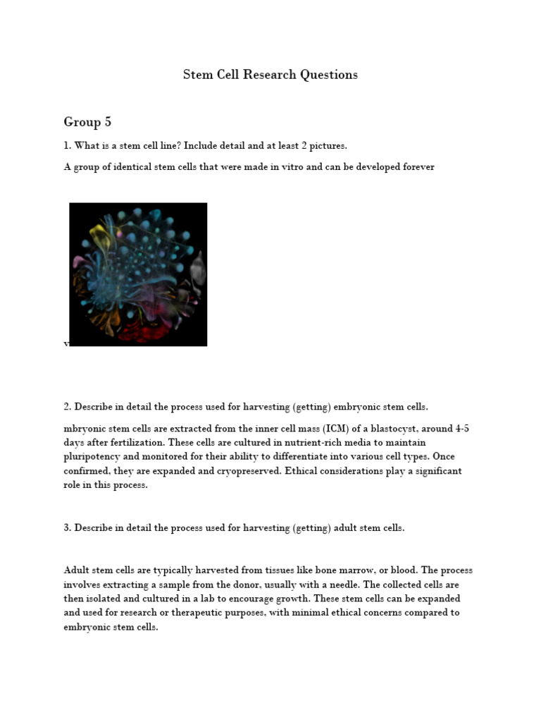 GROUP 5 - Stem Cell Research Questions | PDF