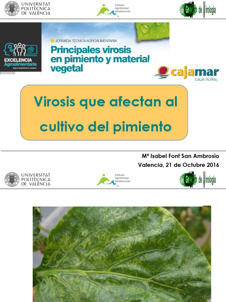 Virosis Pimiento. Cajamar 21-10-2016 | PDF | Pimiento | Virus
