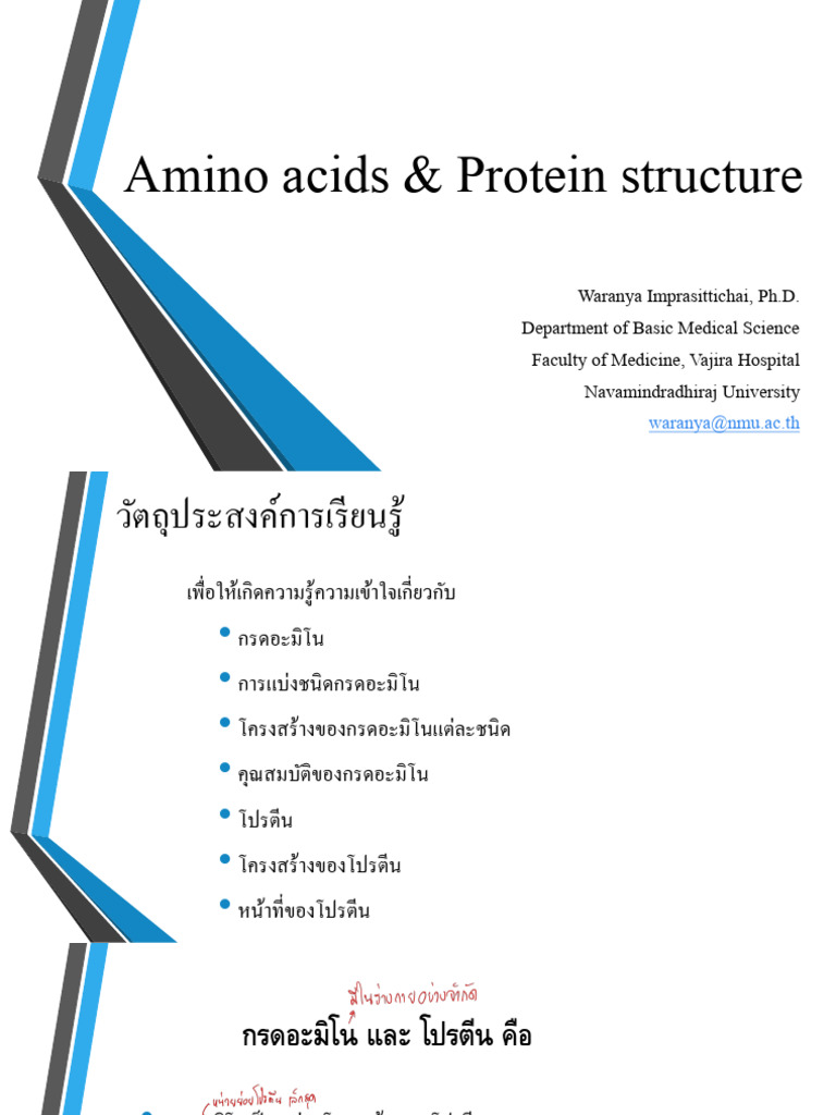 Amino Acid and Protein Structure 2025 | PDF