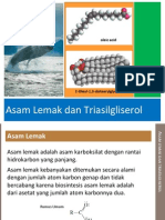 Asam Lemak Dan Triasilgliserol