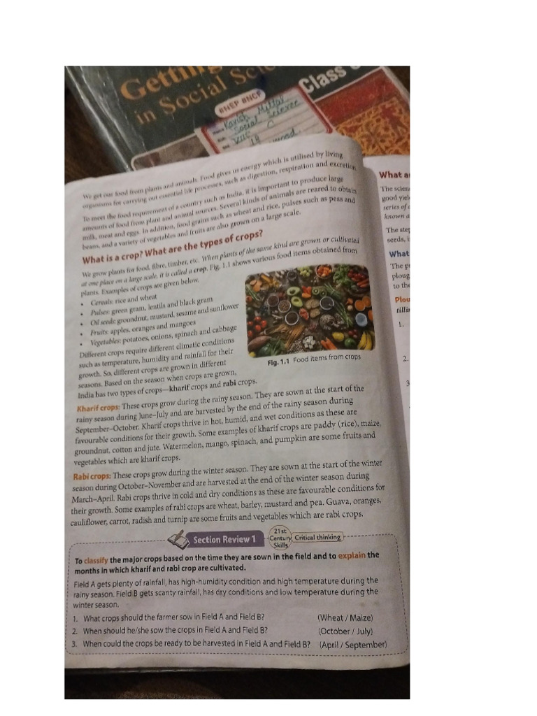 Science | PDF