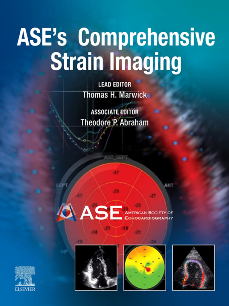 ASE Comprehensive Strain Imaging Guide | PDF | Cardiology ...