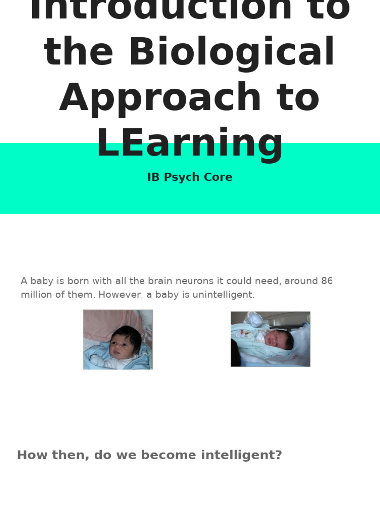 Biological Approach to Learning in Psychology | PDF | Brain | Cerebral ...