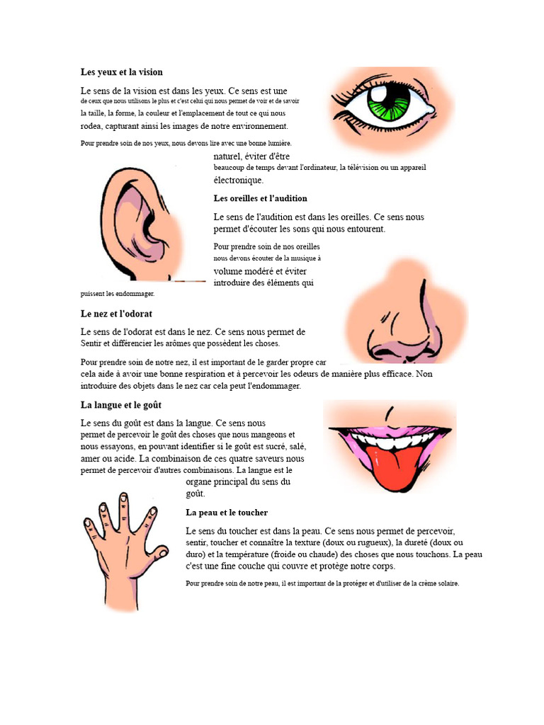 Sens et soins des cinq sens humains | PDF | Sens (physiologie) | Goût