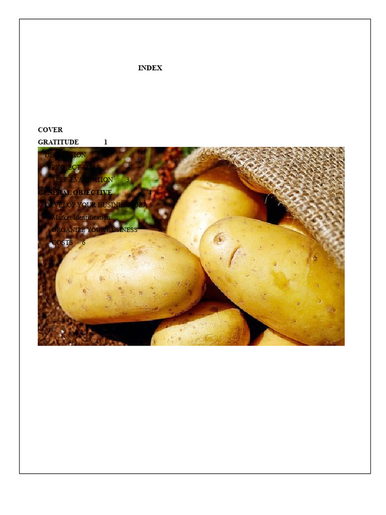 Potato Soap Business Plan Guide | PDF | Vitamin | Vitamin C