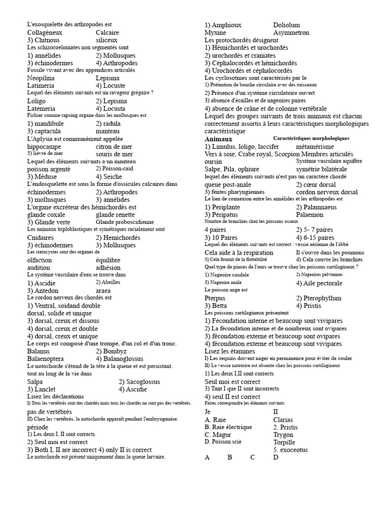 Classification et caractéristiques des animaux | PDF | Mollusque | Branchie