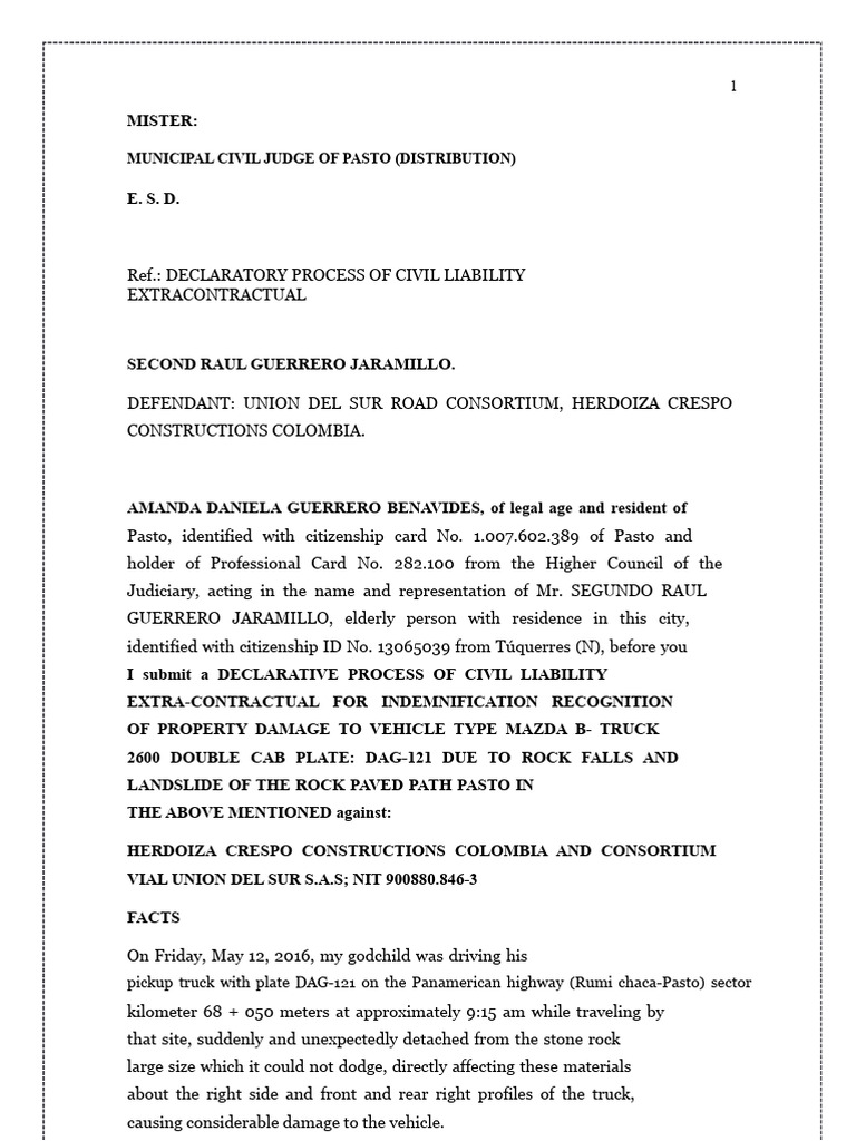 Declarative Demand For Civil Liability | PDF | Damages | Joint Venture