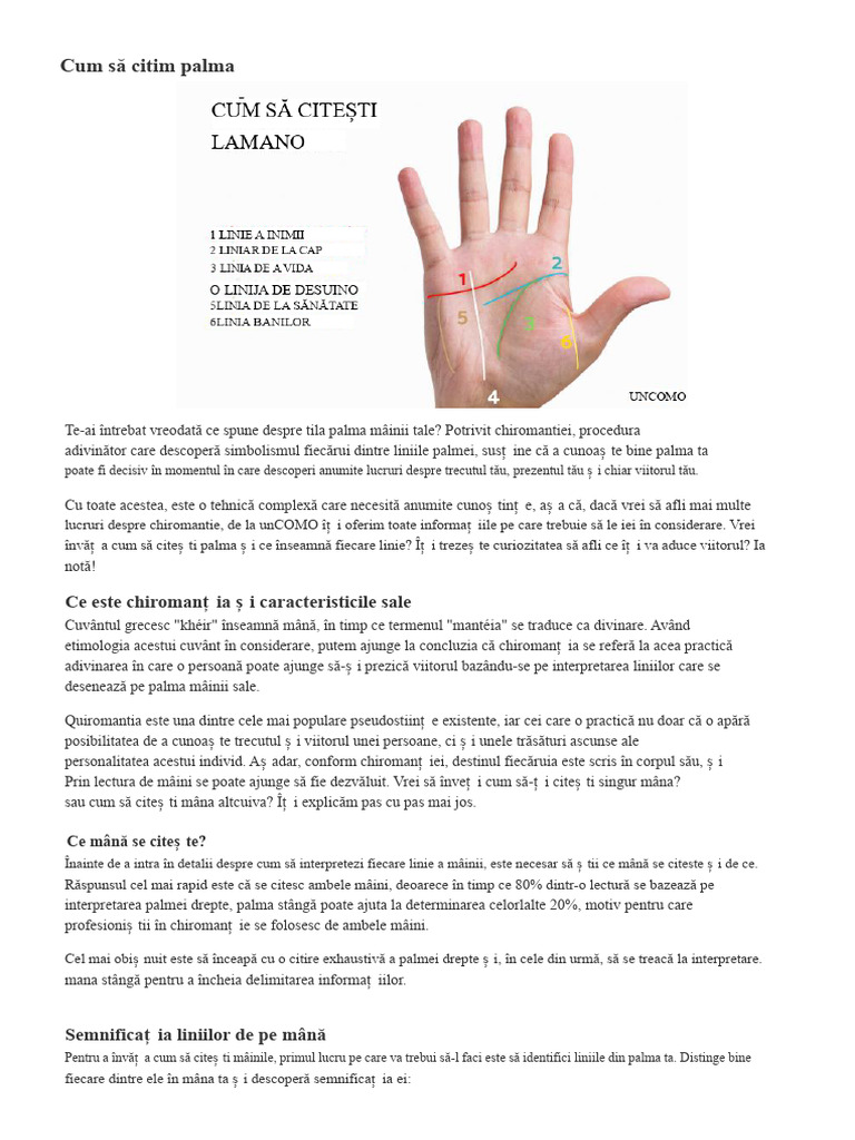 Cum Să Citești Palma | PDF