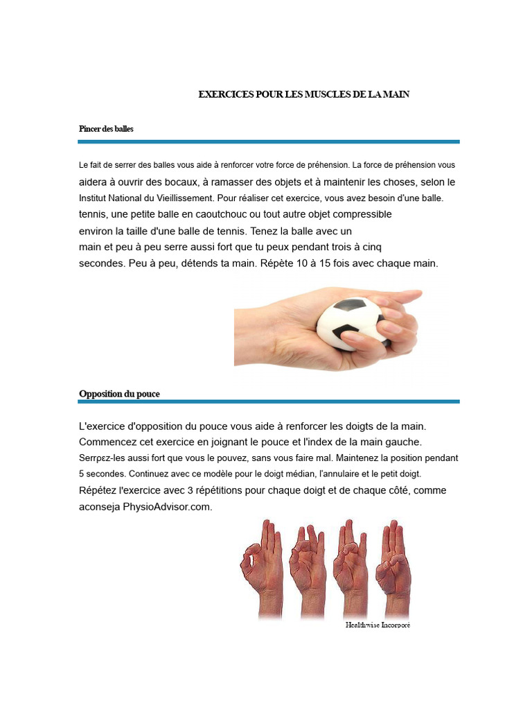 Renforcer les muscles de la main | PDF | Main | Appareil locomoteur