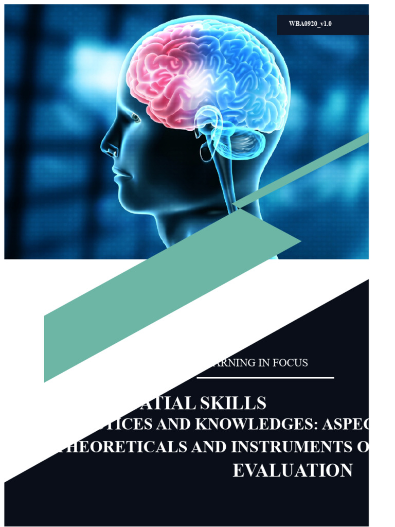Visuospatial Skills: Theoreticals and Instruments of | PDF | Perception ...