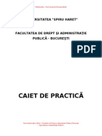 Model de Caiet de Practica Ides