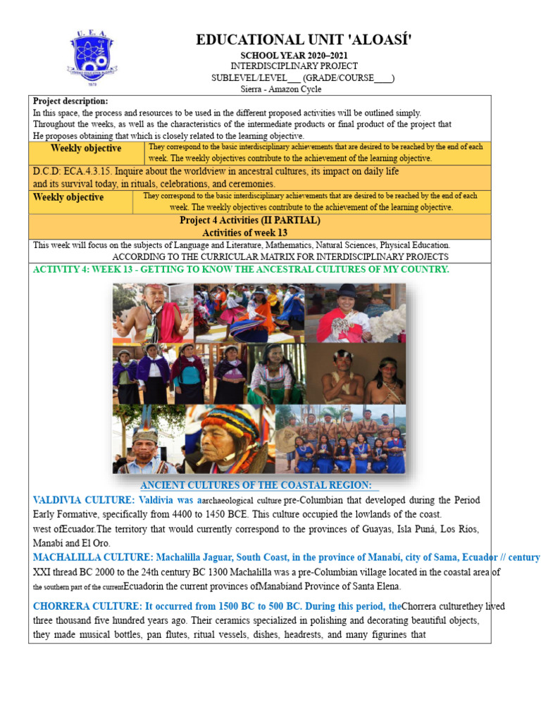 Week 13 Activity E.C.A | PDF