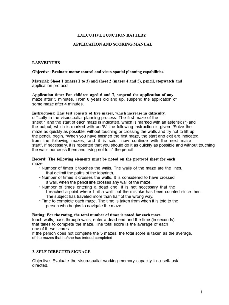 Executive Function Battery Manual | PDF | Executive Functions | Working ...