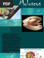 moluscos