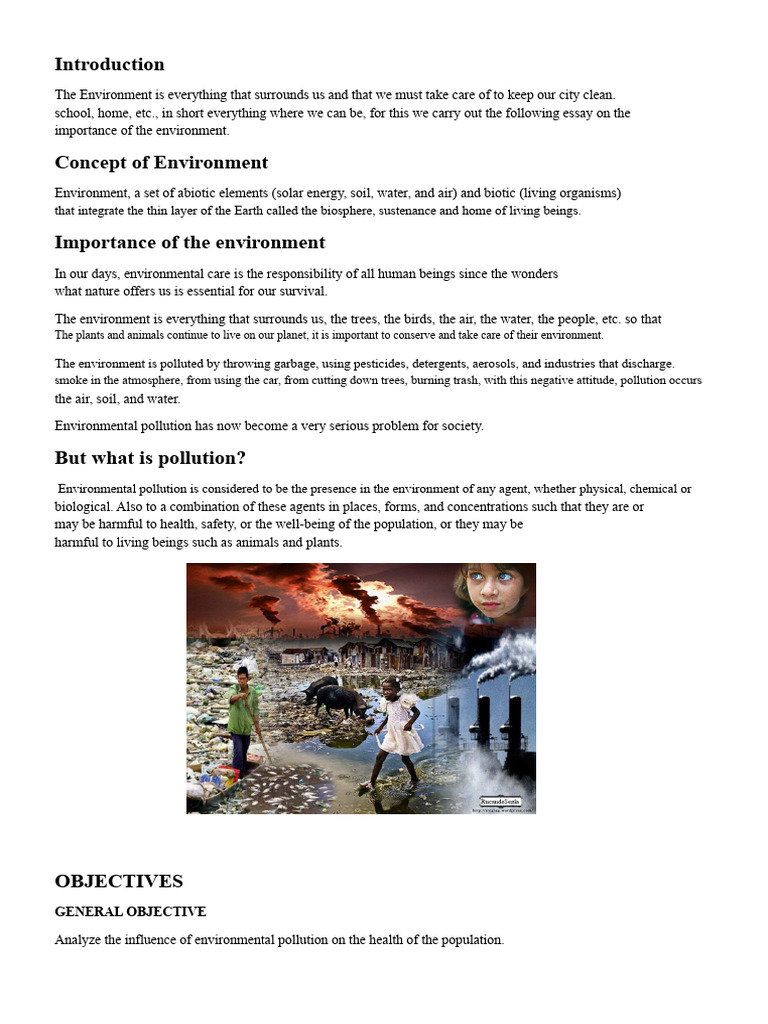 Importance of The Environment | PDF | Natural Environment | Pollution