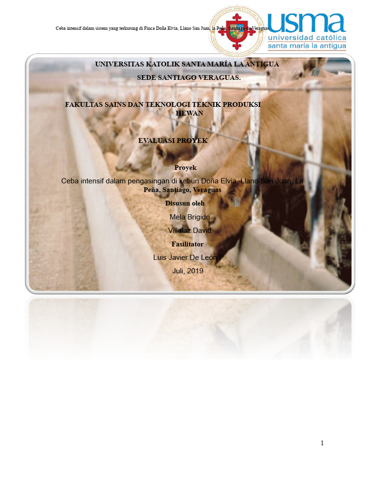 Ceba Intensif Sapi di Finca Doña Elvia | PDF