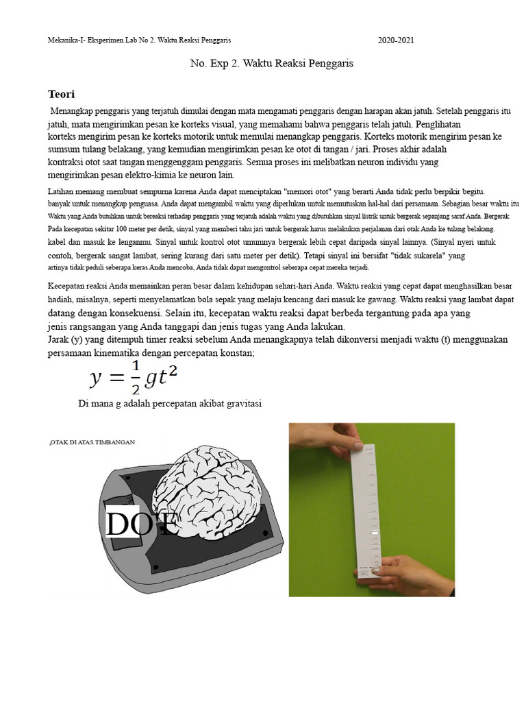 Waktu Reaksi Penggaris: Eksperimen Lab | PDF