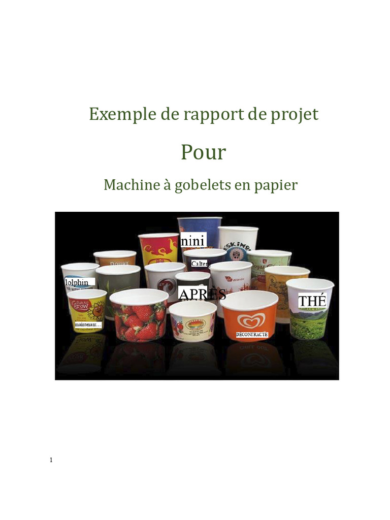 Rapport sur la fabrication de gobelets en papier | PDF | Papier ...