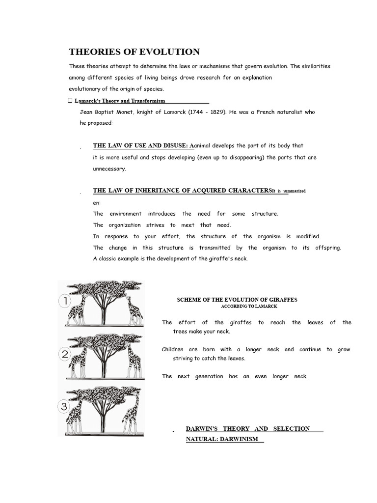 Evolution Theories: Lamarck vs. Darwin | PDF | Evolution | Natural ...