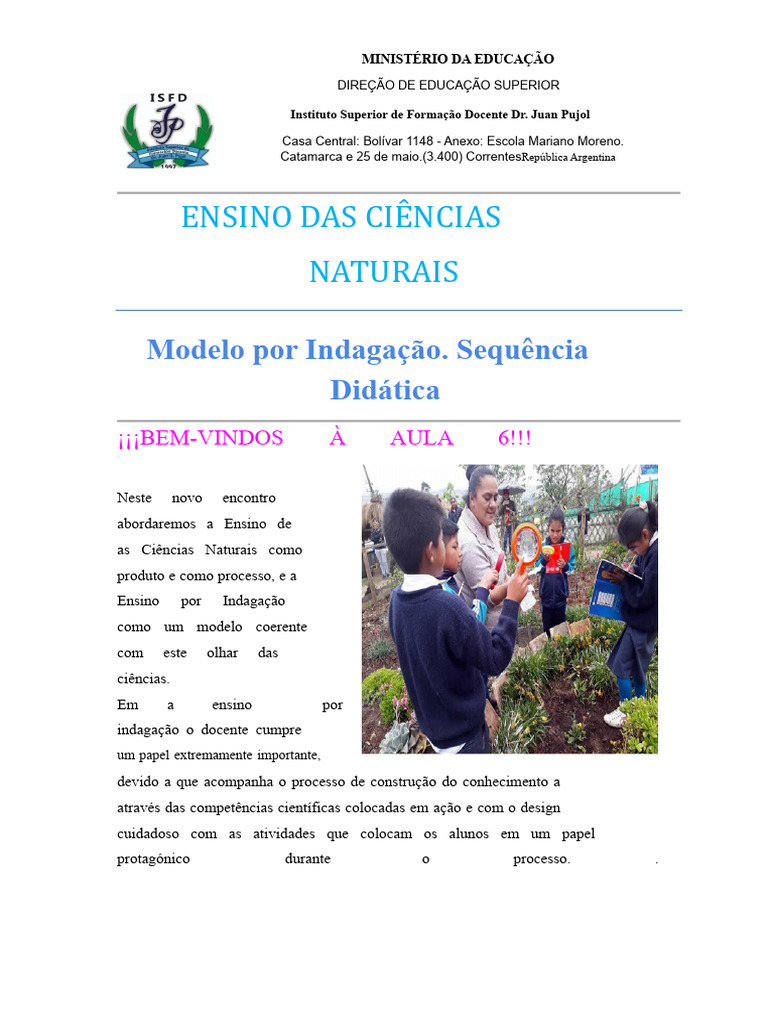 Ensino de Ciências Naturais por Indagação | PDF | Science | Aprendizado